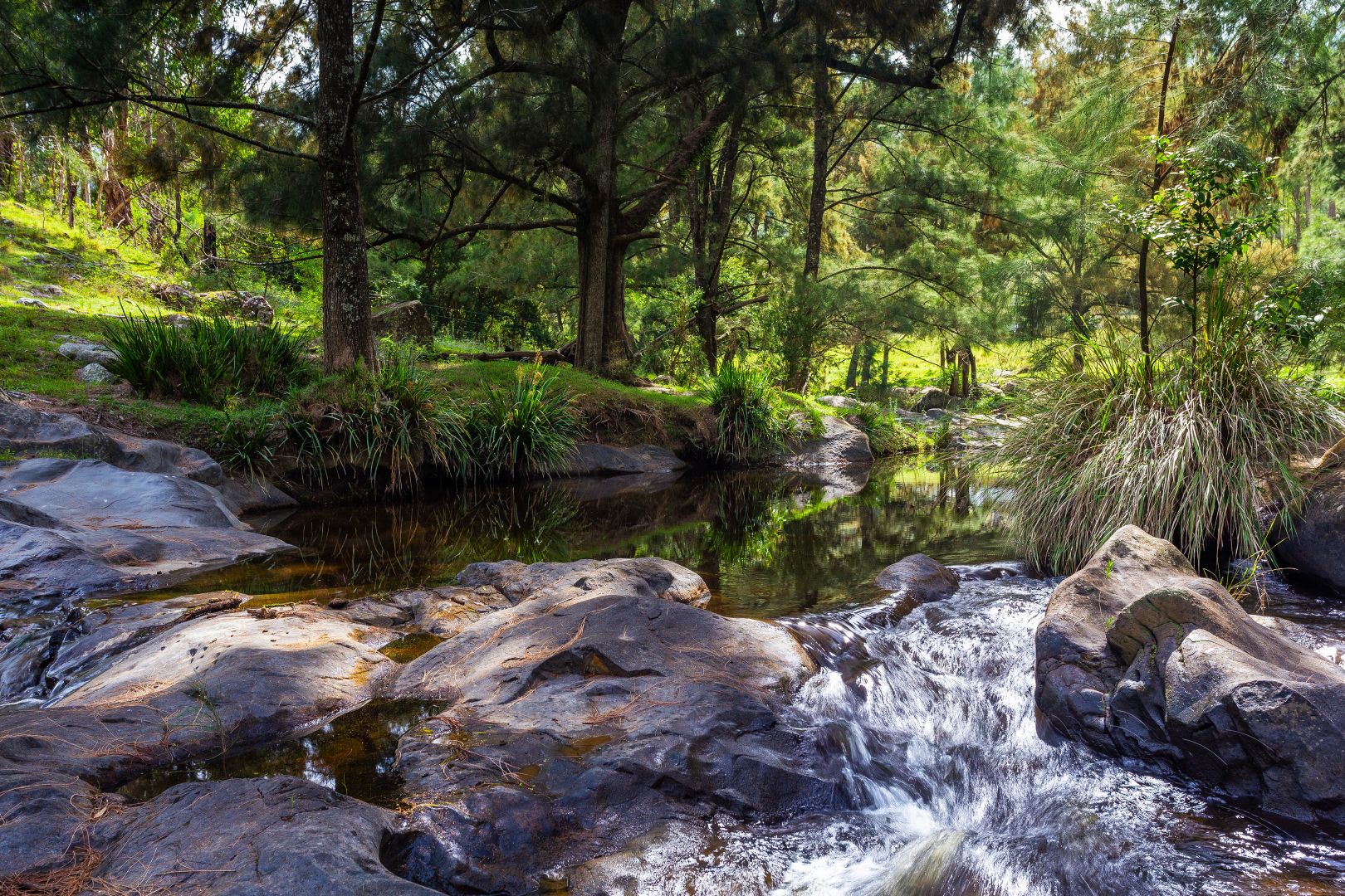 Lot 19 Nowendoc Road, Cooplacurripa NSW 2424, Image 1