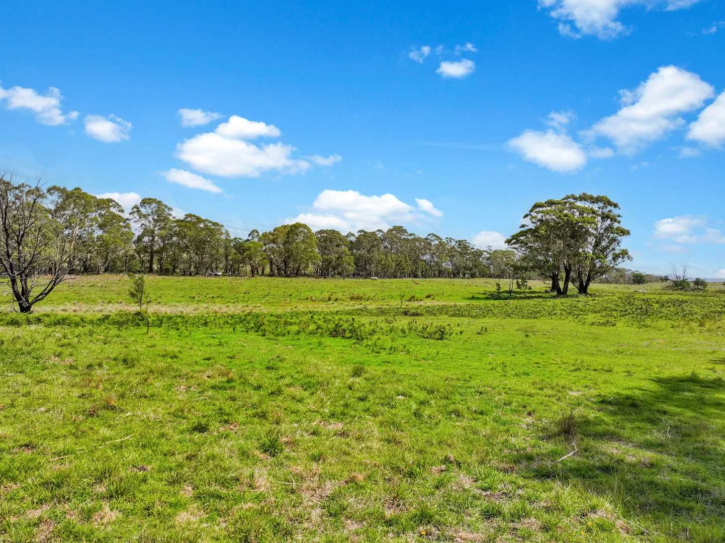 Additional image 5 of 195 Halls Lane, Braidwood NSW 2622