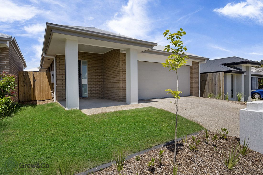 41 Mackenzie Street, Coomera QLD 4209 House For Rent Domain