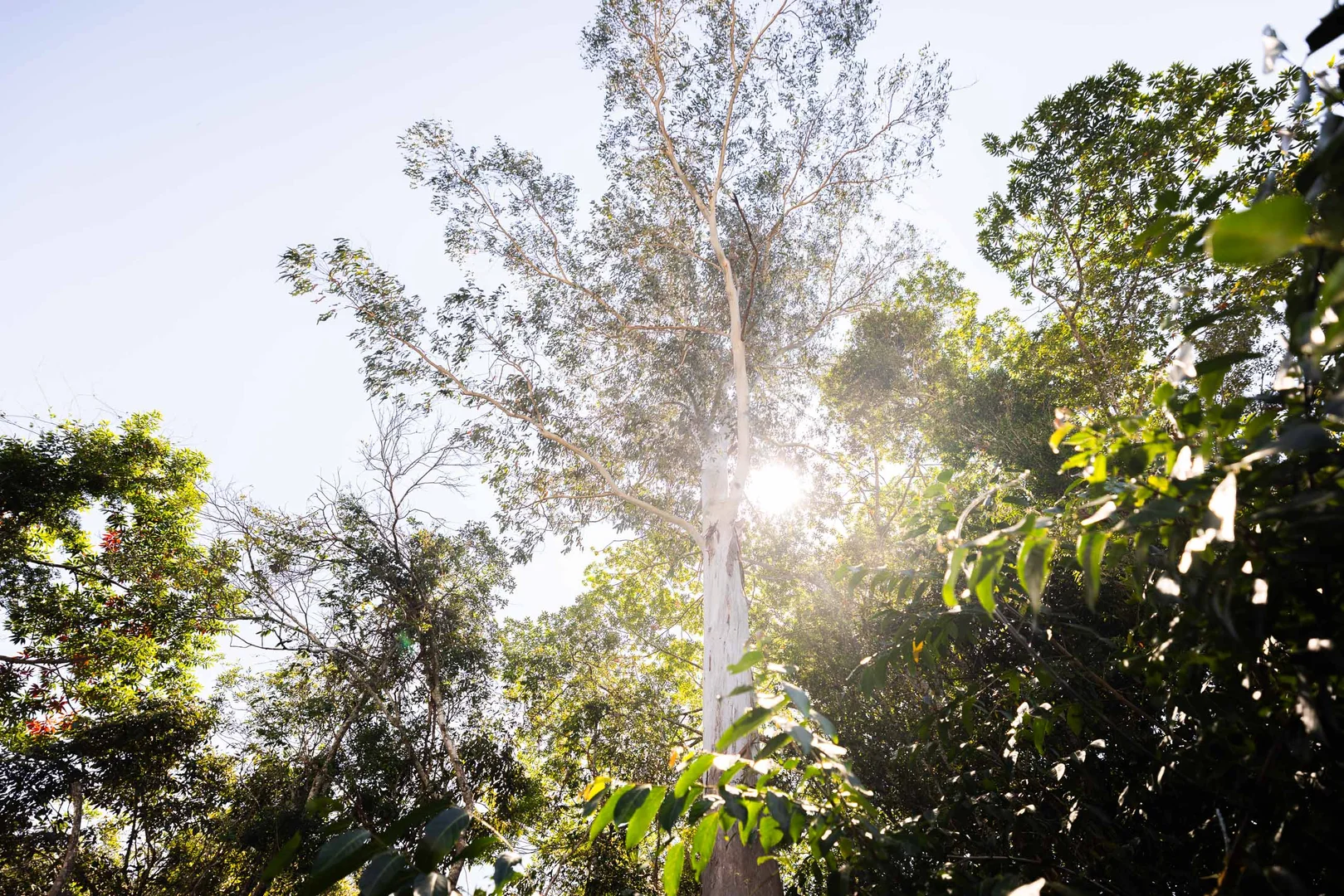 Additional image 10 of 58 Hilltop Drive, Burnside QLD 4560