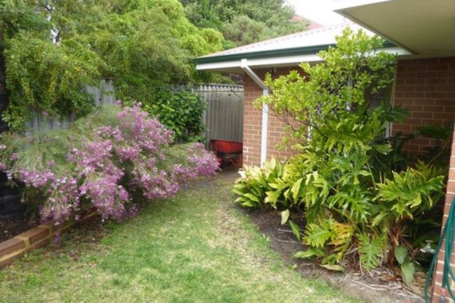 568 Rental Properties In Victoria Park Wa 6100 Domain