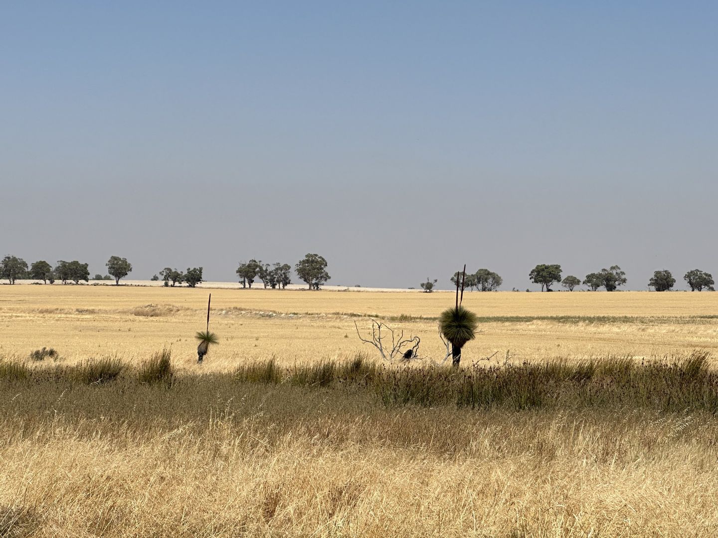 Lot 10 Hills Road, Cunderdin WA 6407, Image 1