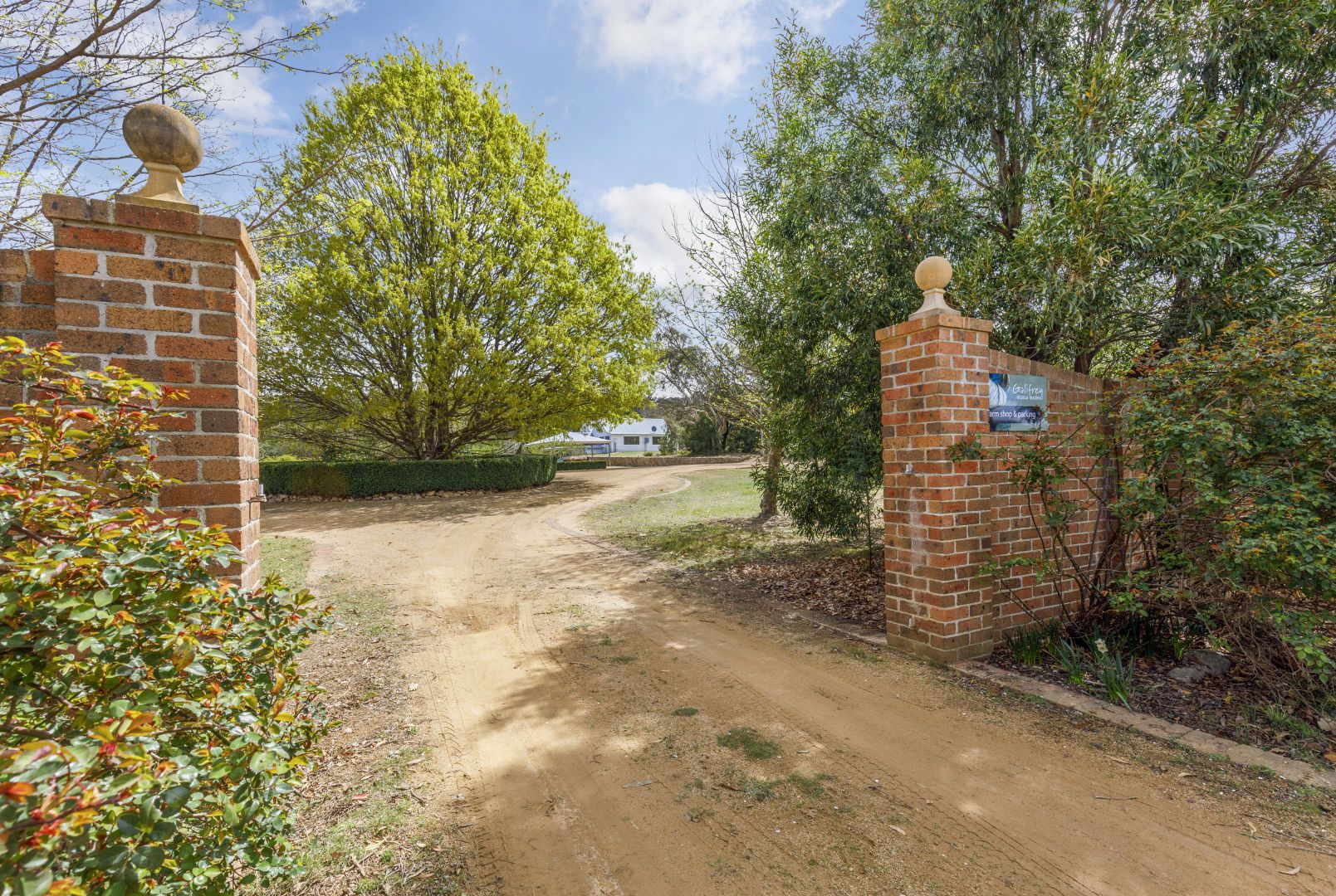 1008 Wallaces Gap Road, Braidwood NSW 2622, Image 2