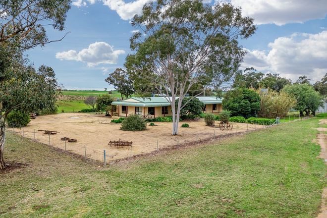 Picture of 447 Wetmores Lane, MILBRULONG NSW 2656