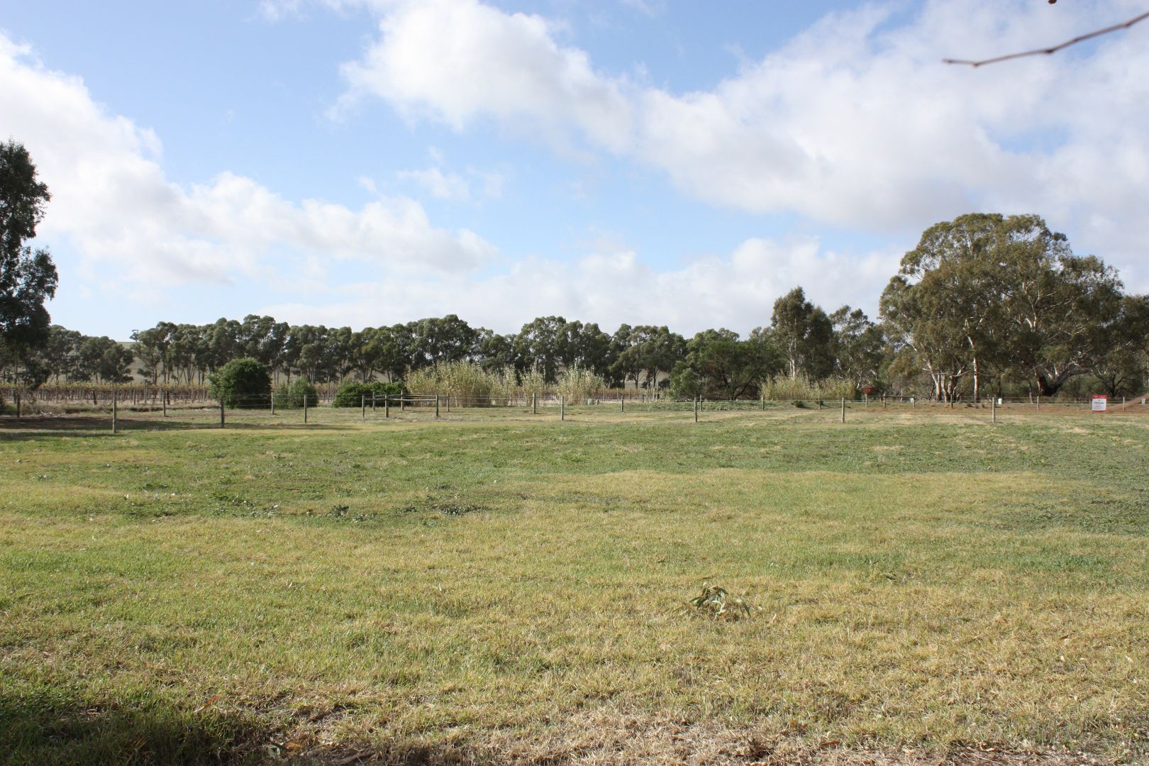 Allotment 743 Truro Road, Moculta SA 5353, Image 2