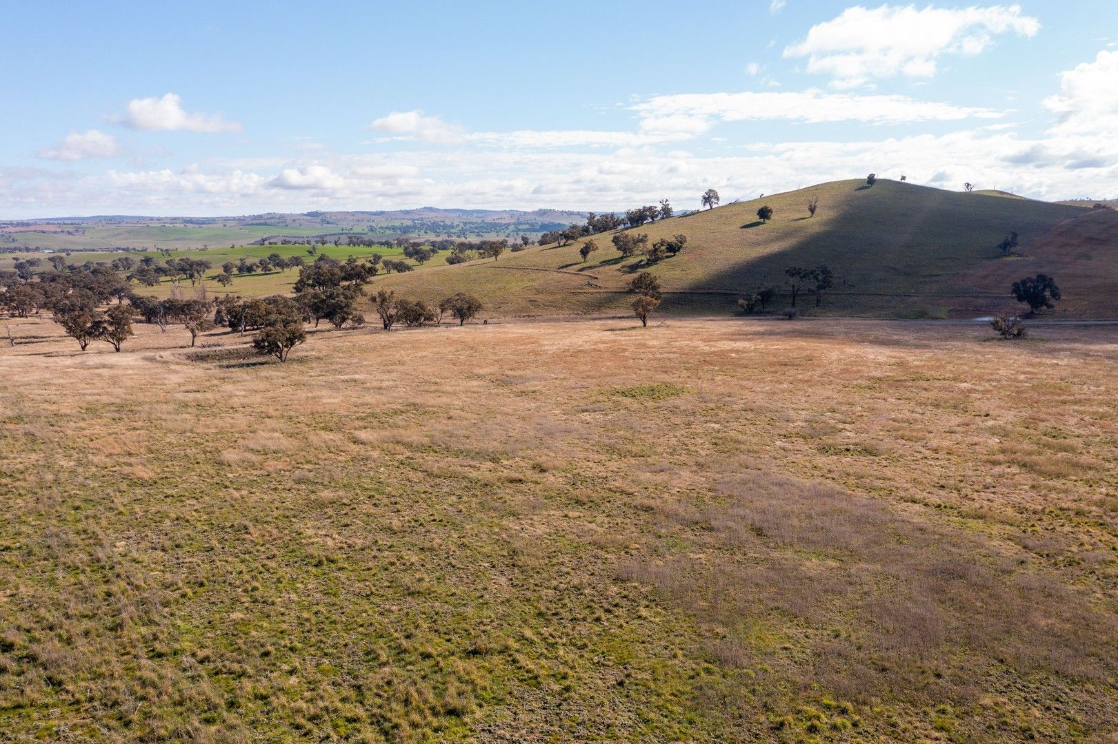 Cnr Brial & Rugby Road, Boorowa NSW 2586, Image 0