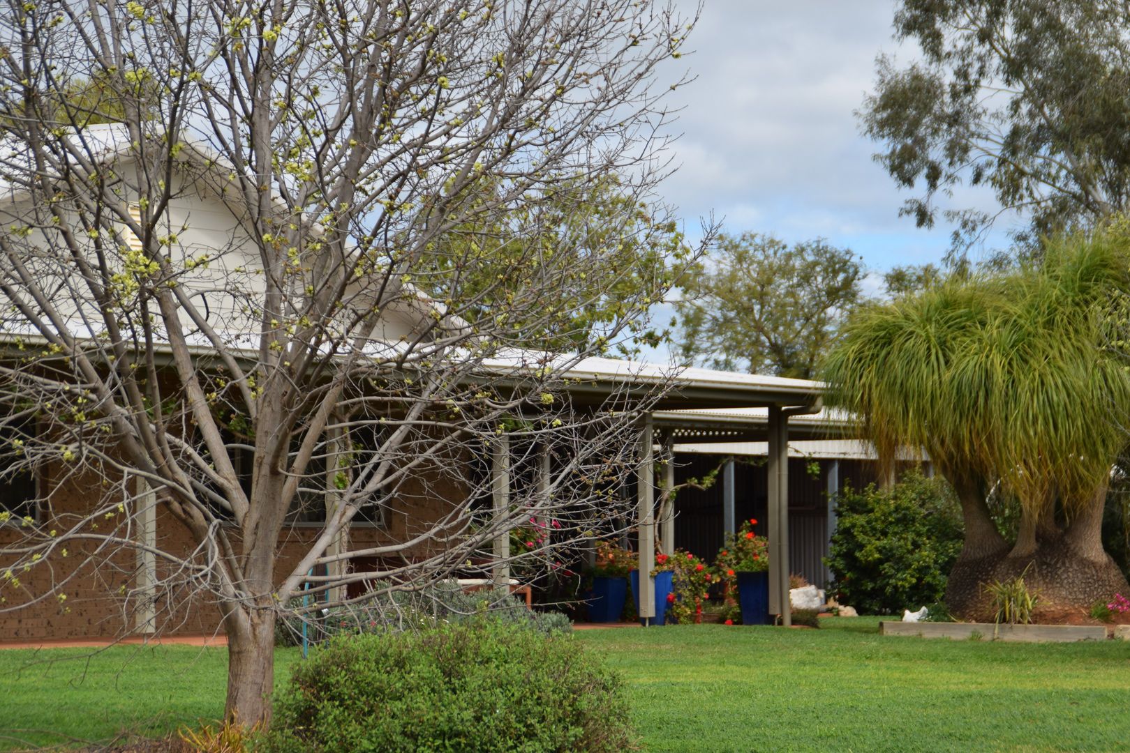 'Redbank' 102L Burraway Road, Terramungamine NSW 2830, Image 1