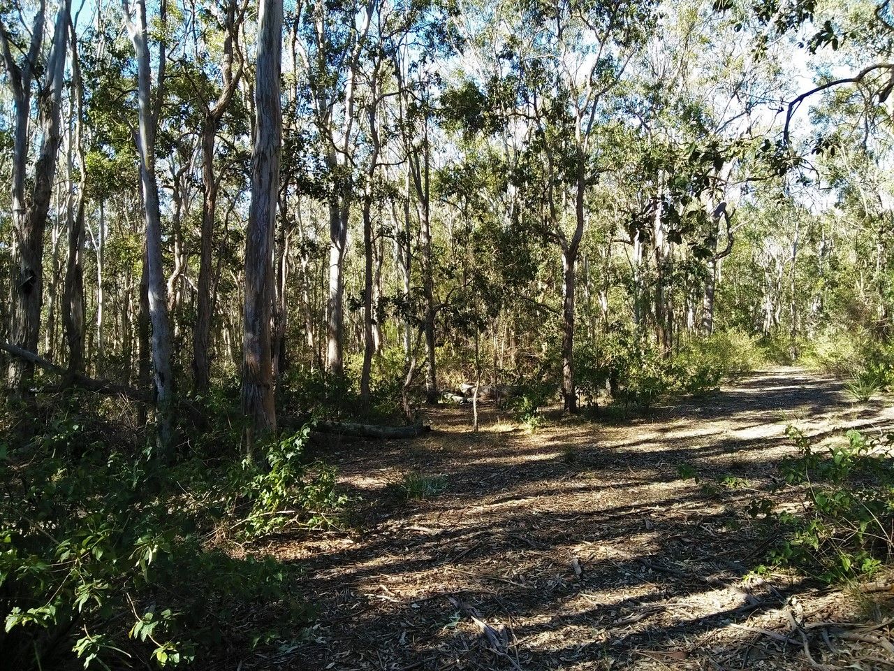 44 Beh Road, Cressbrook Creek QLD 4355, Image 2