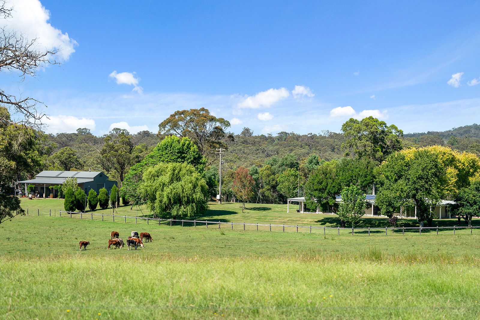 1421 Tugalong Road, Canyonleigh NSW 2577, Image 0