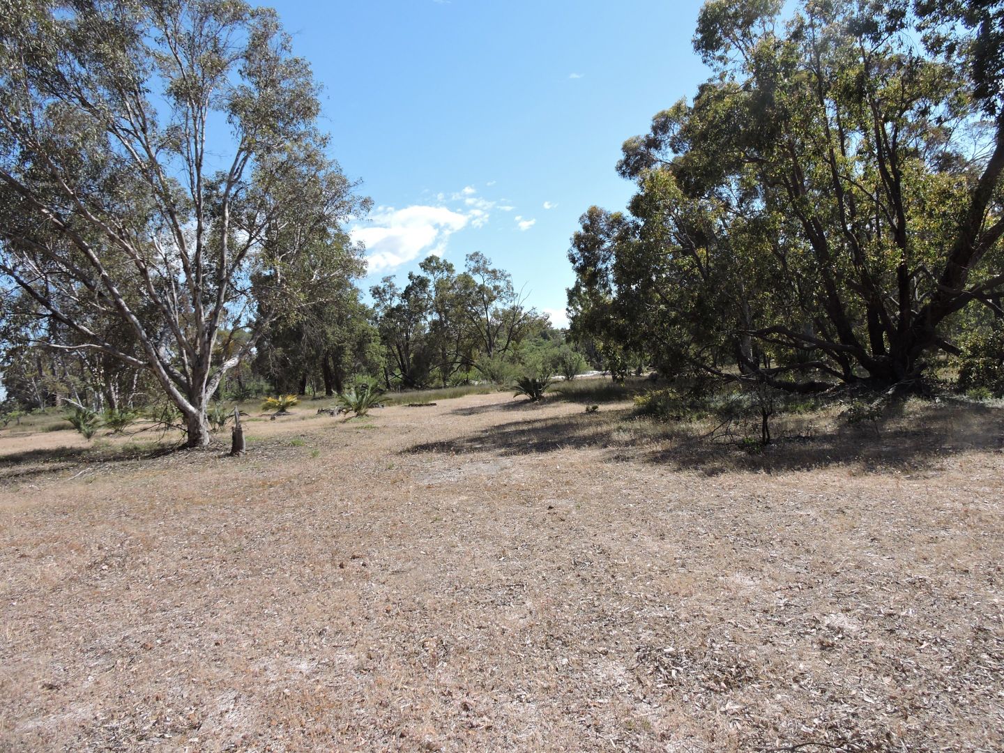 Lot 801 Talbot West Road, York WA 6302, Image 2