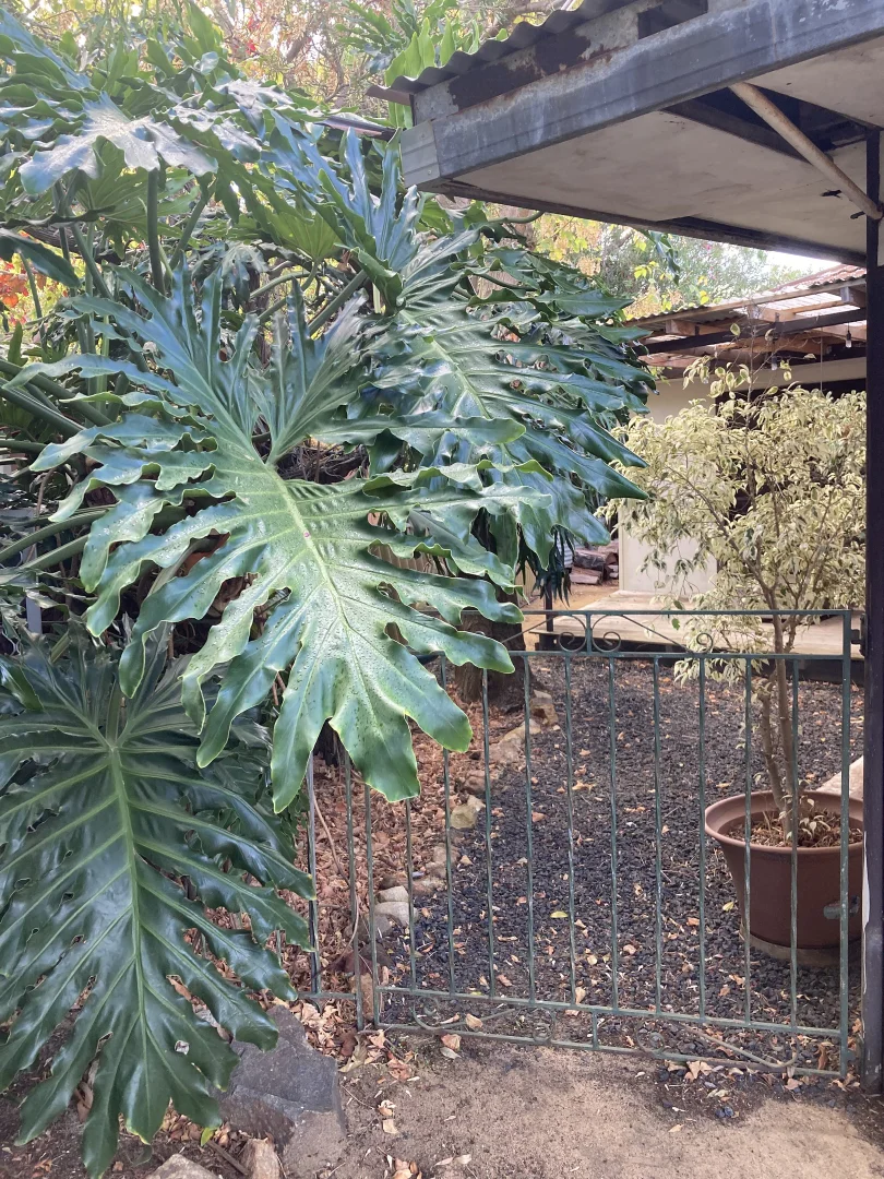 Additional image 20 of 42 Strelly Street, Busselton WA 6280