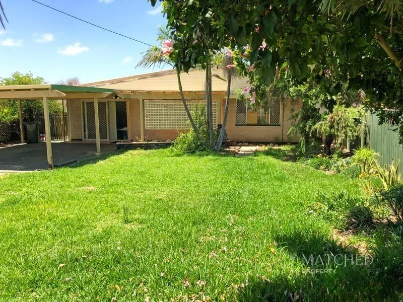 Image 15