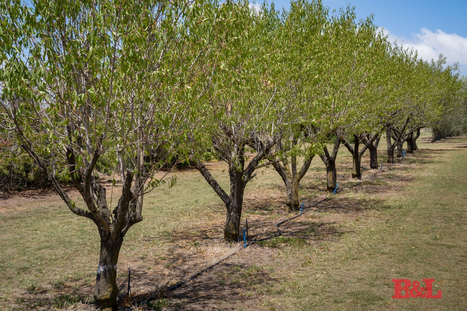 Additional image 25 of 7 Melrose Drive, Raglan NSW 2795