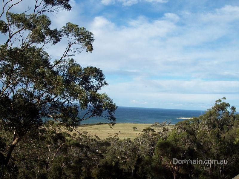 39 Rosedale Road, BICHENO TAS 7215, Image 0