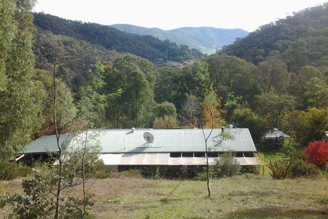 Picture of 1711 Thowgla Road, THOWGLA VALLEY VIC 3707