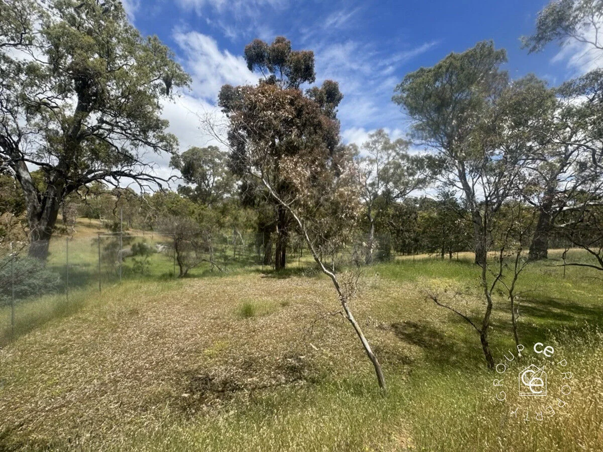 Image 43