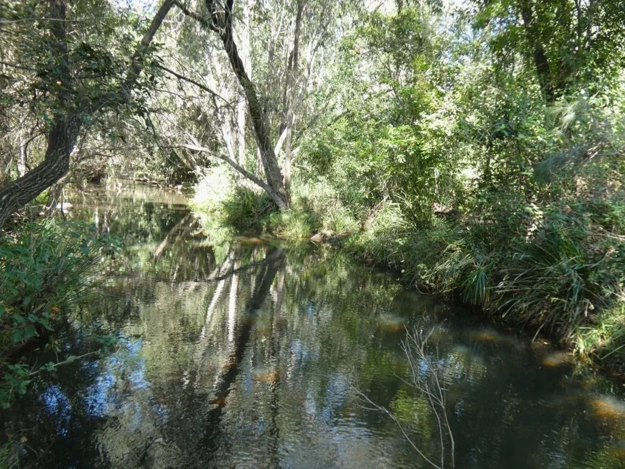 Image 22