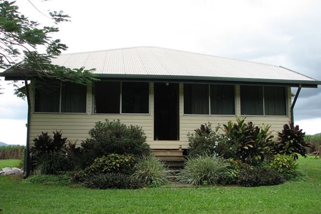 Picture of 26 Munro Road, BELLENDEN KER QLD 4871