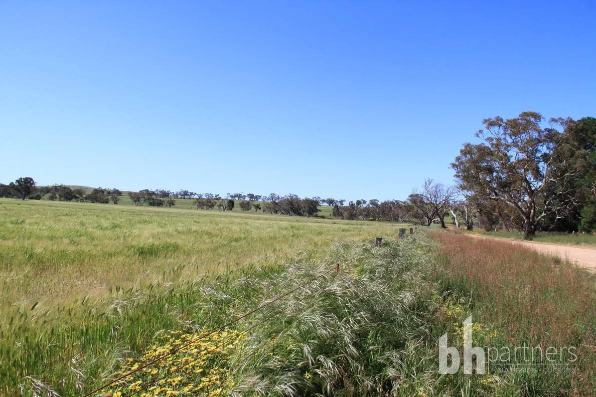 Additional image 19 of Section 332 and Section 330 & 405 Kubenk Road, Rockleigh SA 5254