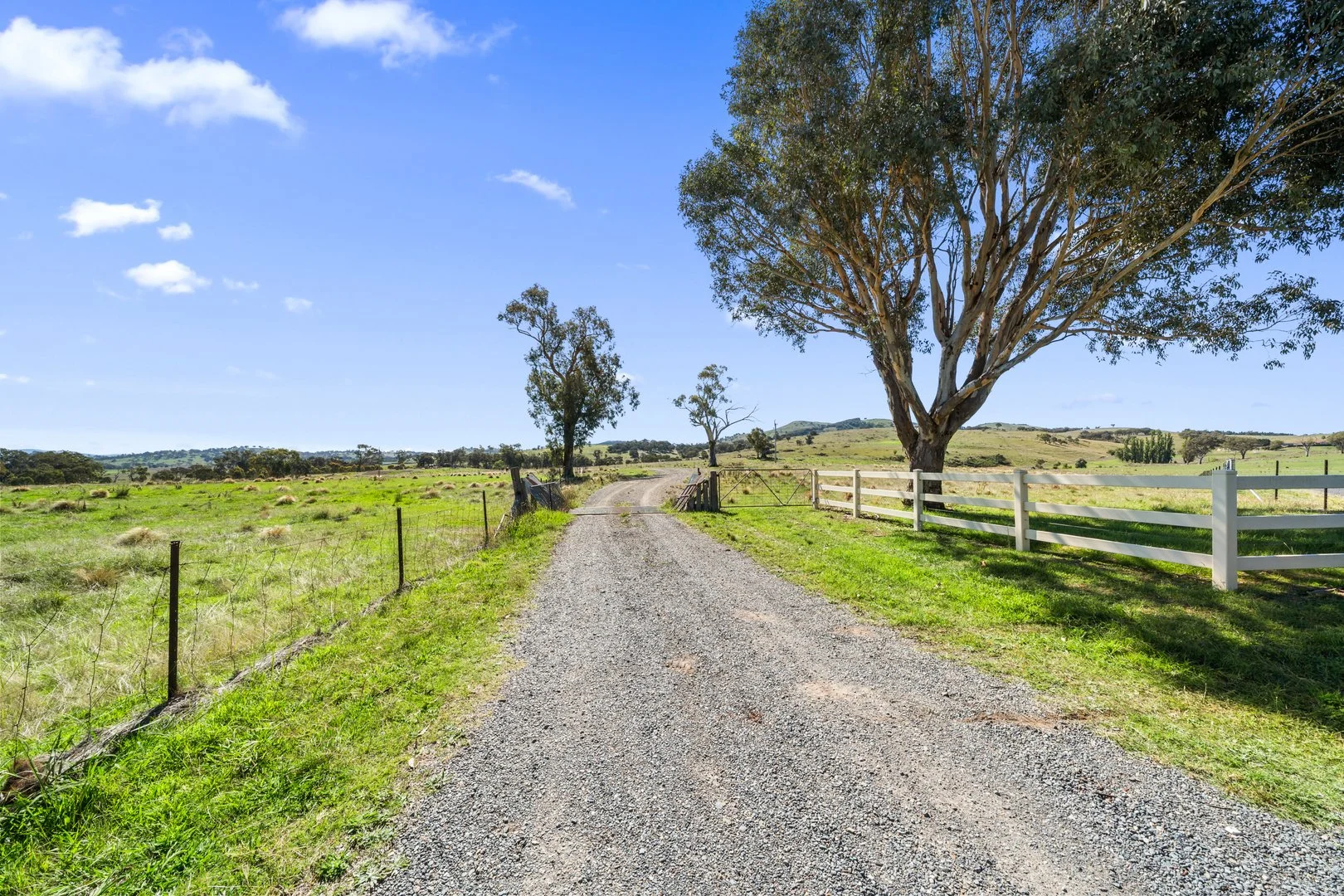 Additional image 20 of 267 Spring Range Road, Springrange NSW 2618