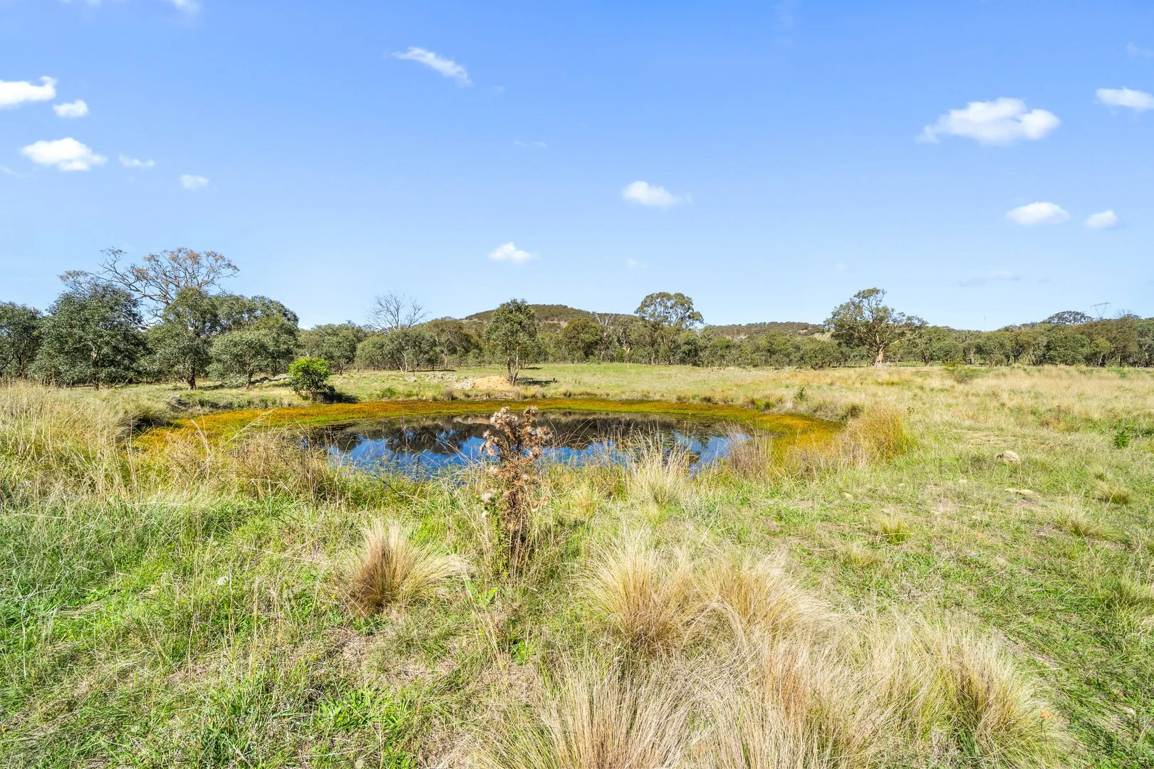 Additional image 6 of 267 Spring Range Road, Springrange NSW 2618