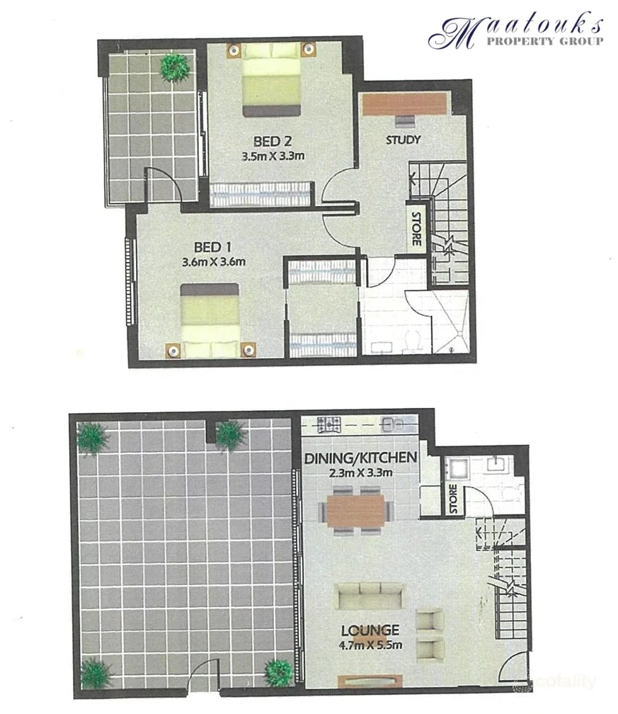 Image 10