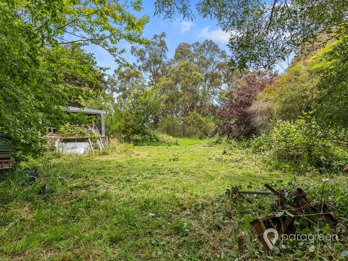 Image 10