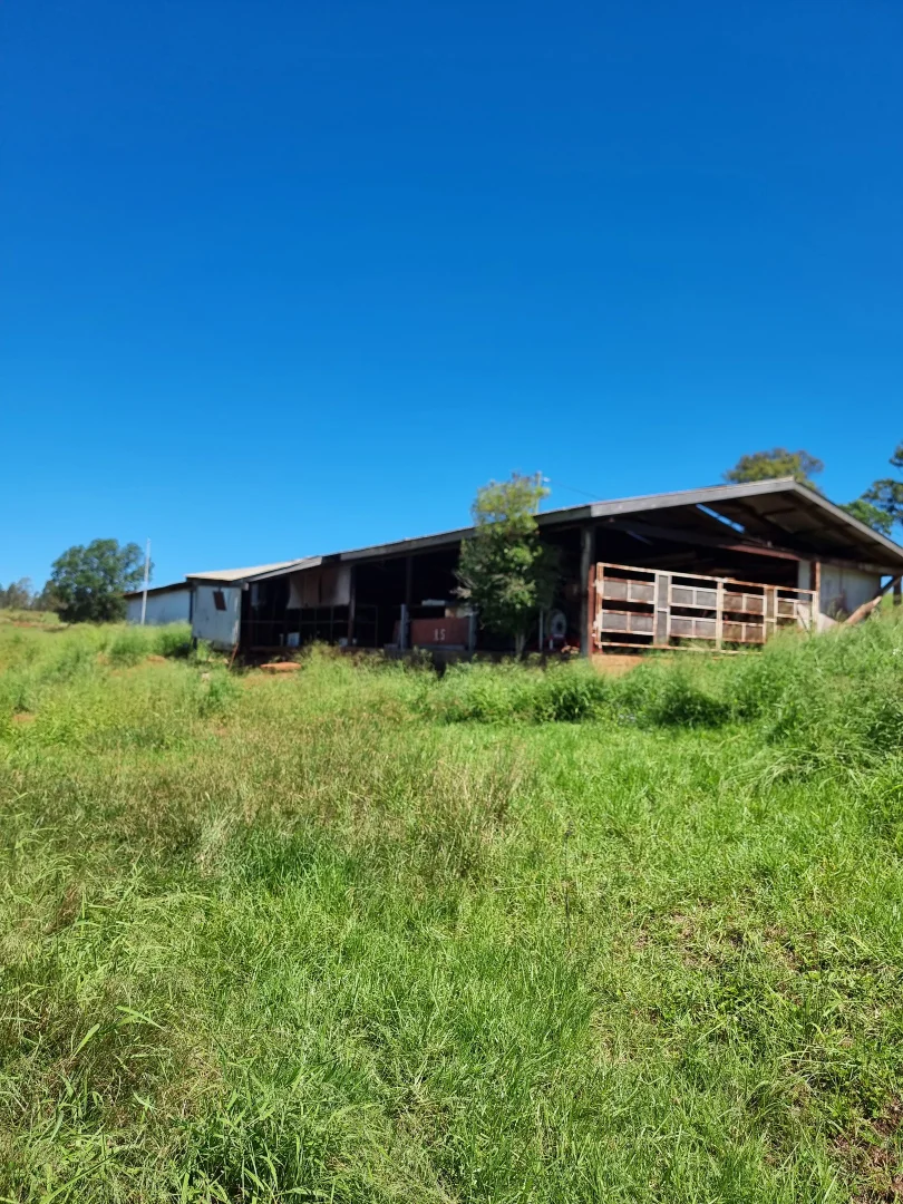 Additional image 11 of 42 Roberts Road, Speedwell, Proston QLD 4613