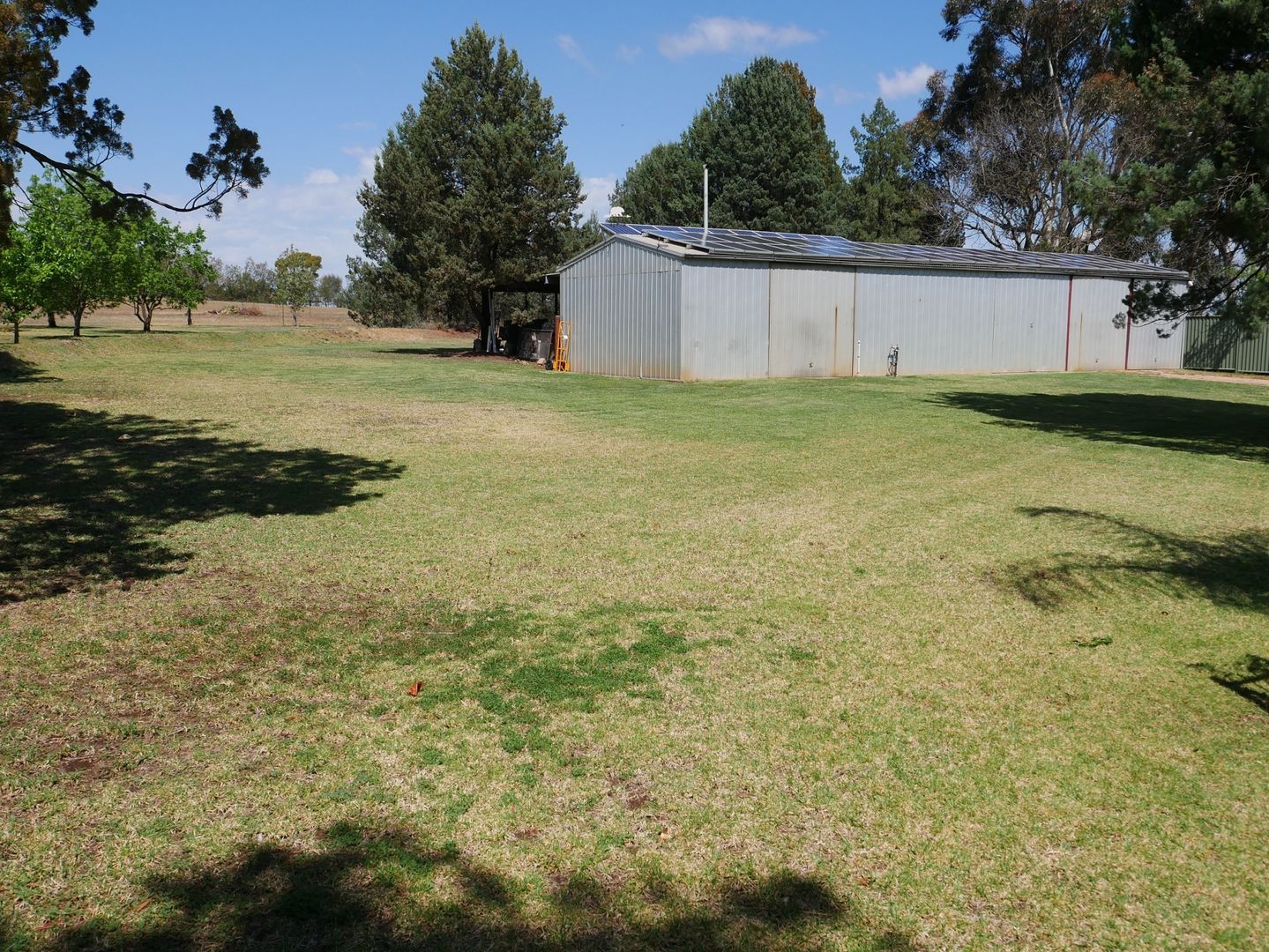 274 Tabain Rd, Leeton NSW 2705, Image 2