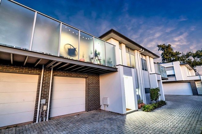 137 Rental Properties In Prospect Sa 5082 Domain