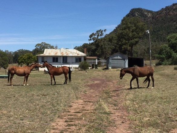 3632 Lockhart-The Rock Road, The Rock NSW 2655, Image 0