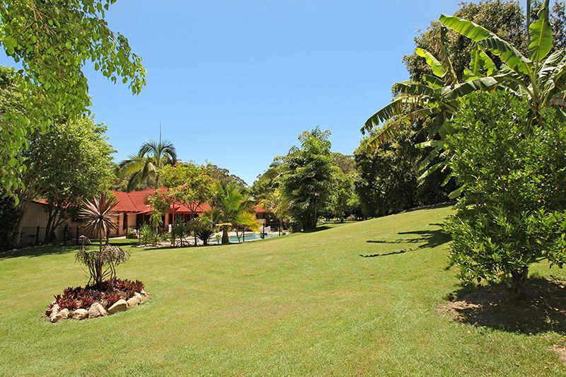 269 Diddillibah Road, Diddillibah QLD 4559, Image 2