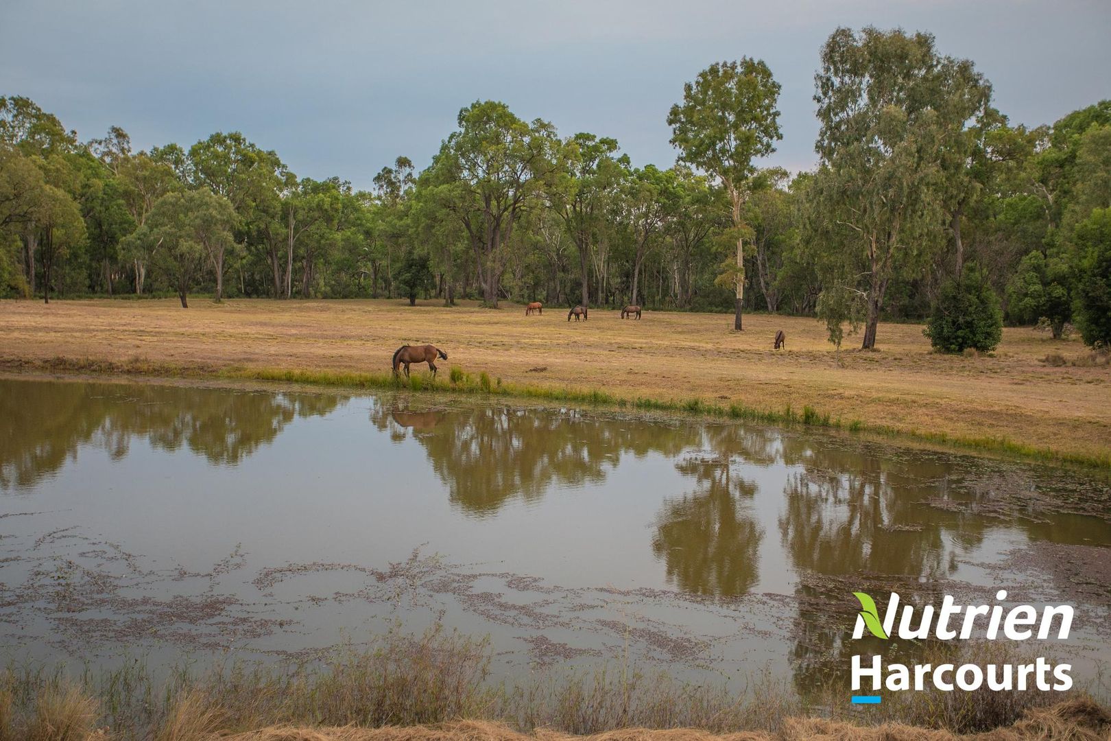 Chinchilla QLD 4413, Image 1