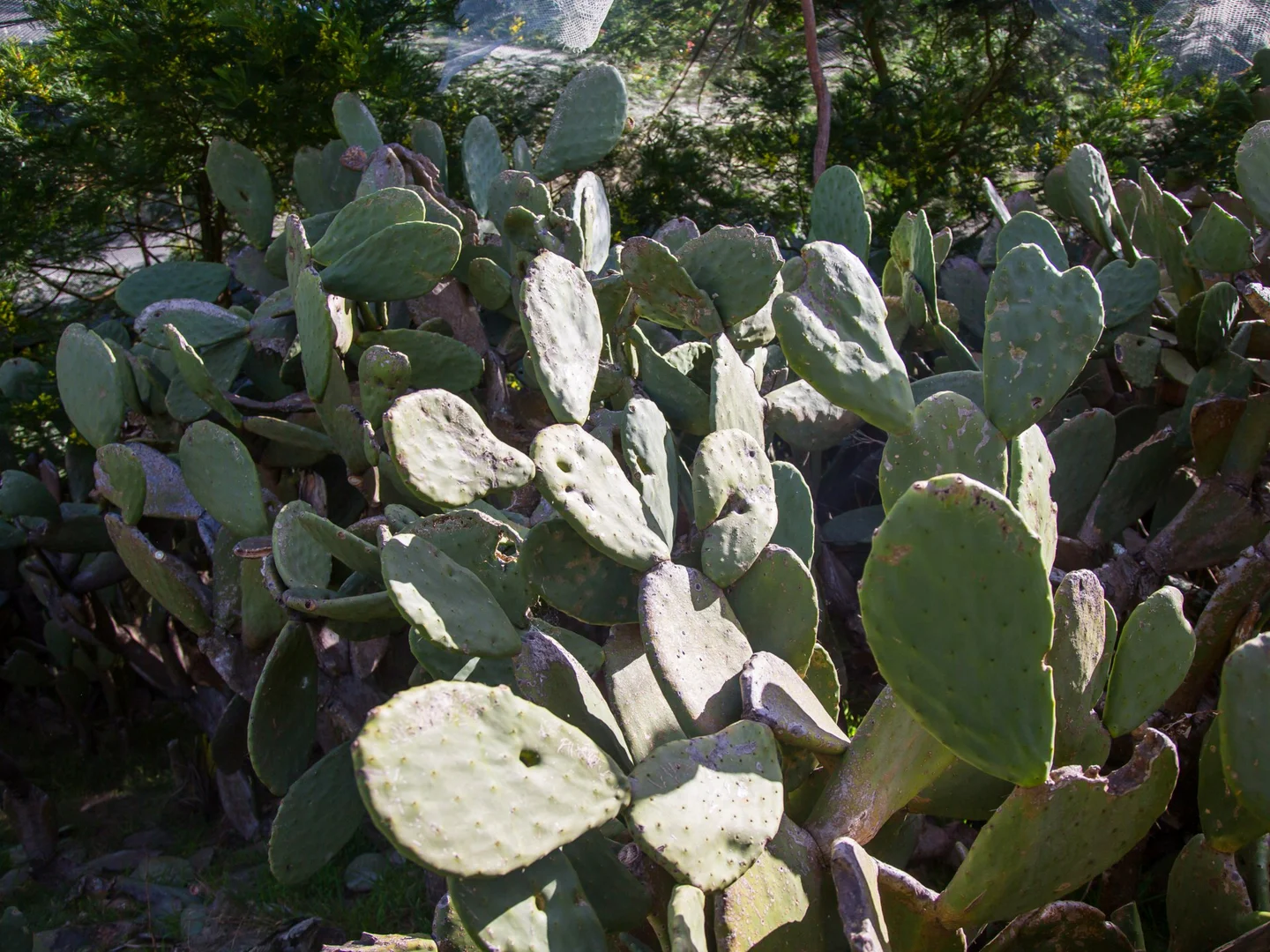Image 19
