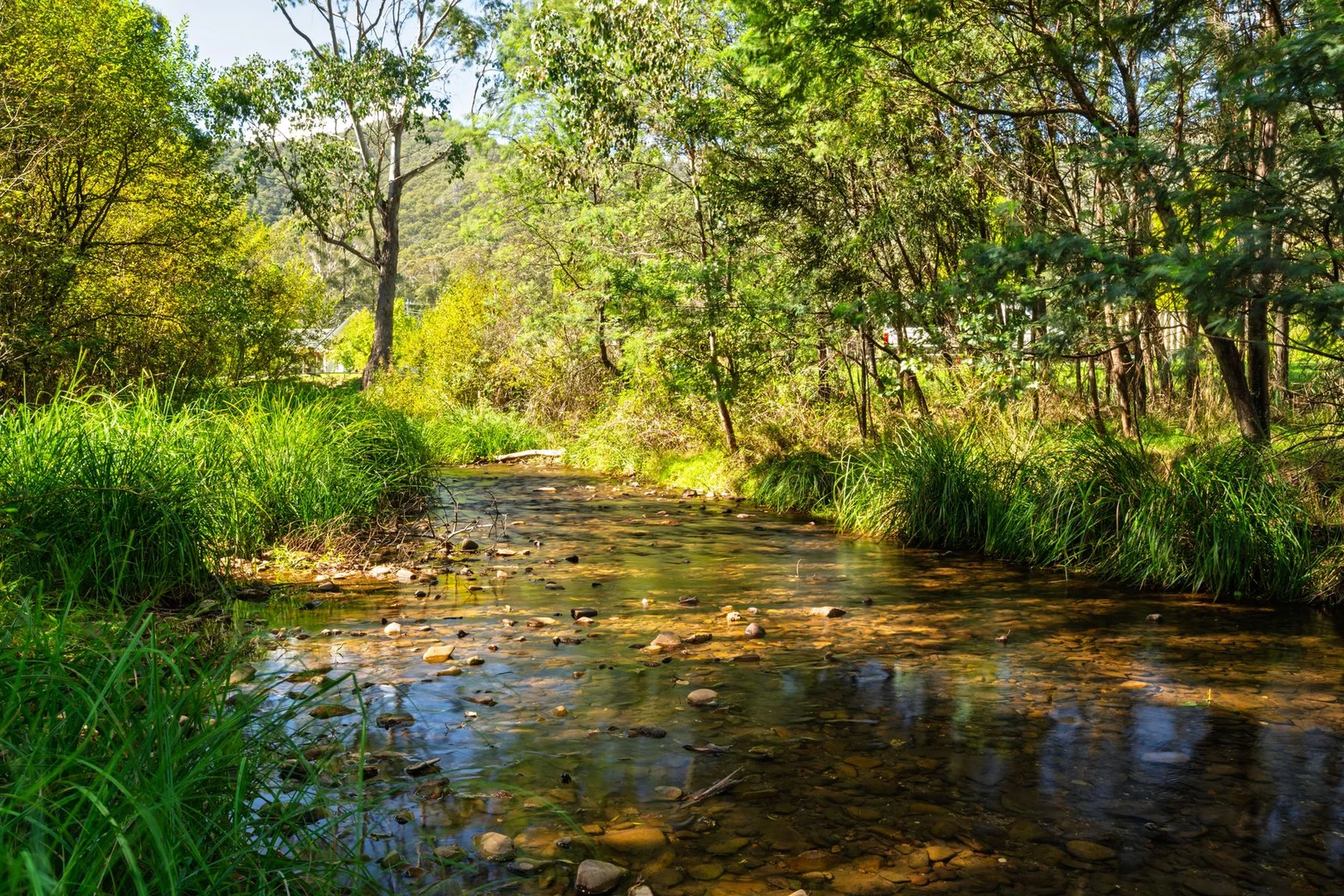 Additional image 9 of 828 Morses Creek Road, Wandiligong VIC 3744