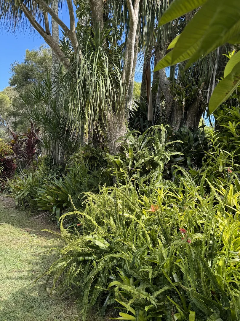 Image 23
