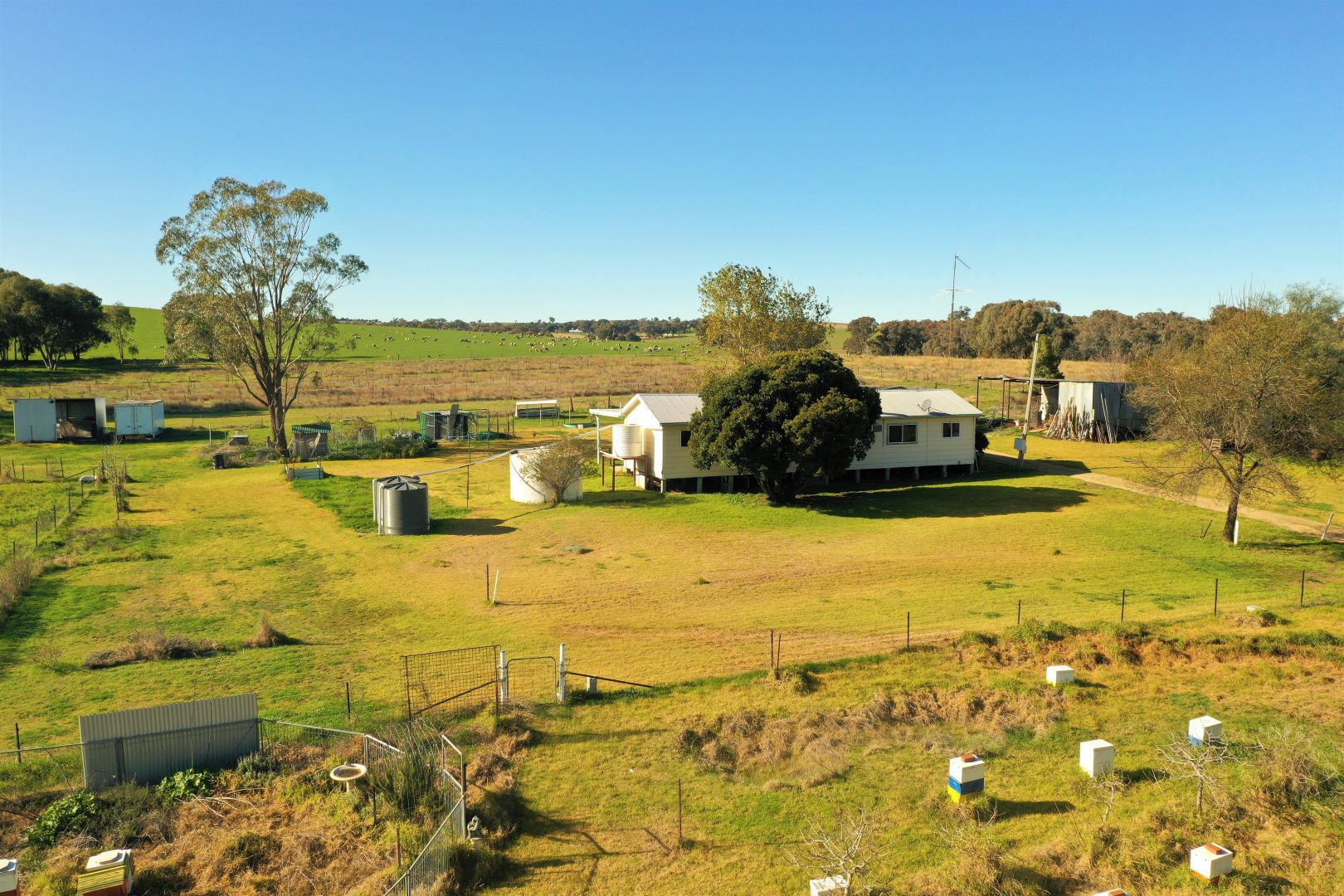 38 Fowler Street, Monteagle Via, Young NSW 2594, Image 2