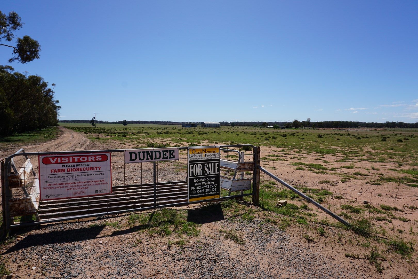 'Dundee' 603 Charcoal Tank Road, West Wyalong NSW 2671, Image 0