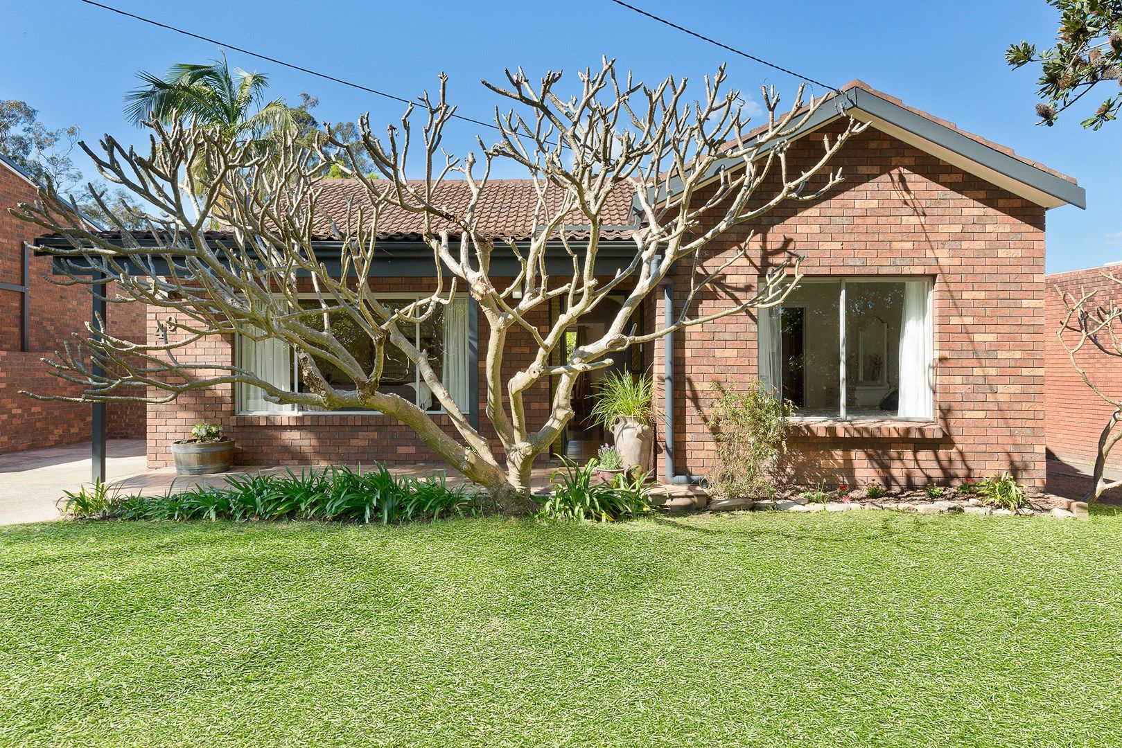 49 Arthur Street, Forestville NSW 2087, Image 0