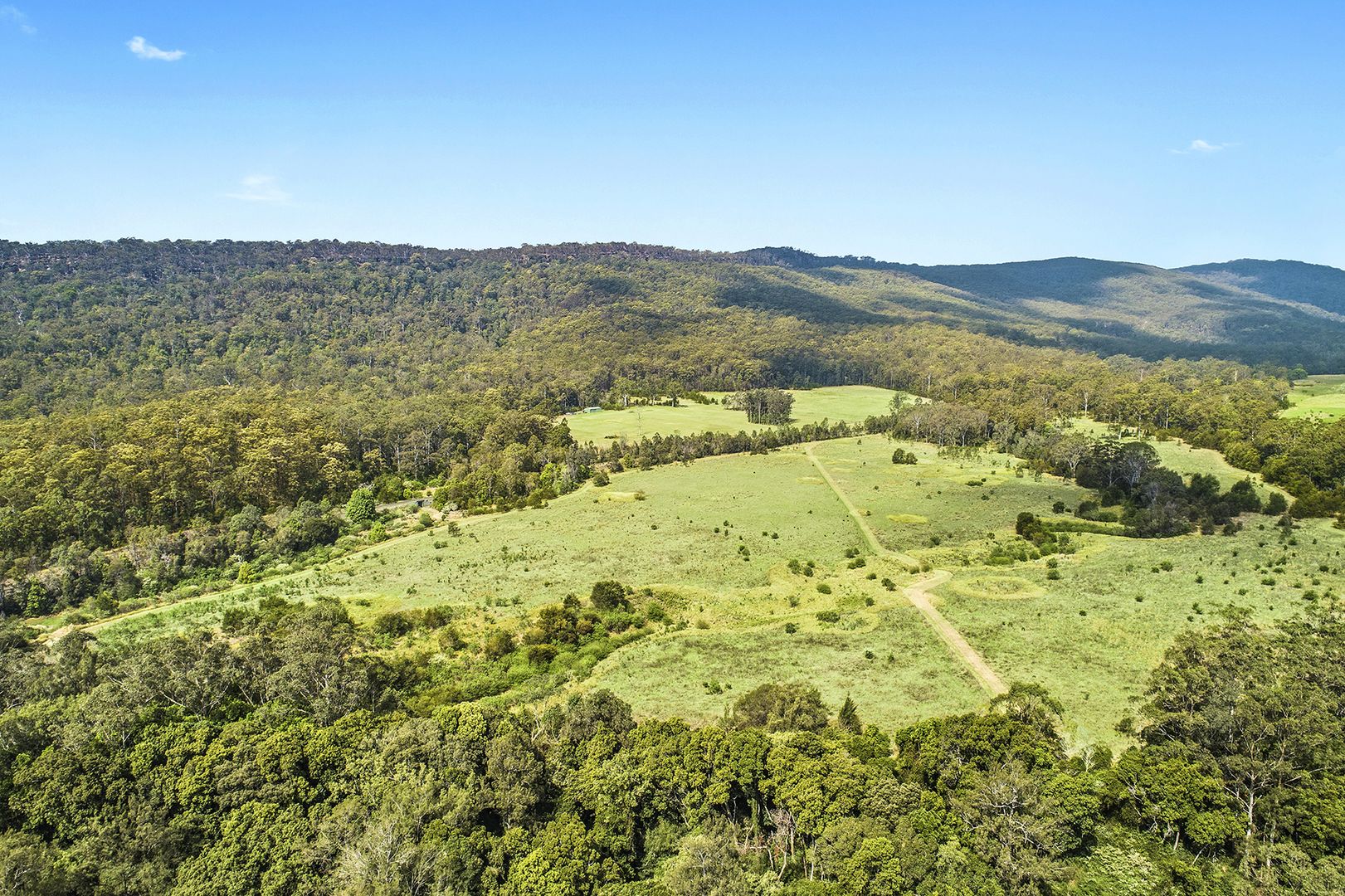 696698 Waihou Forest Road, Glenreagh NSW 2450 Vacant Land for Sale