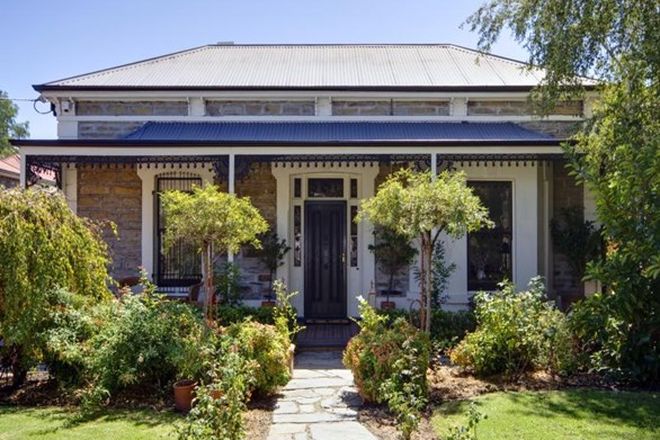 549 Rental Properties In North Adelaide Sa 5006 Domain
