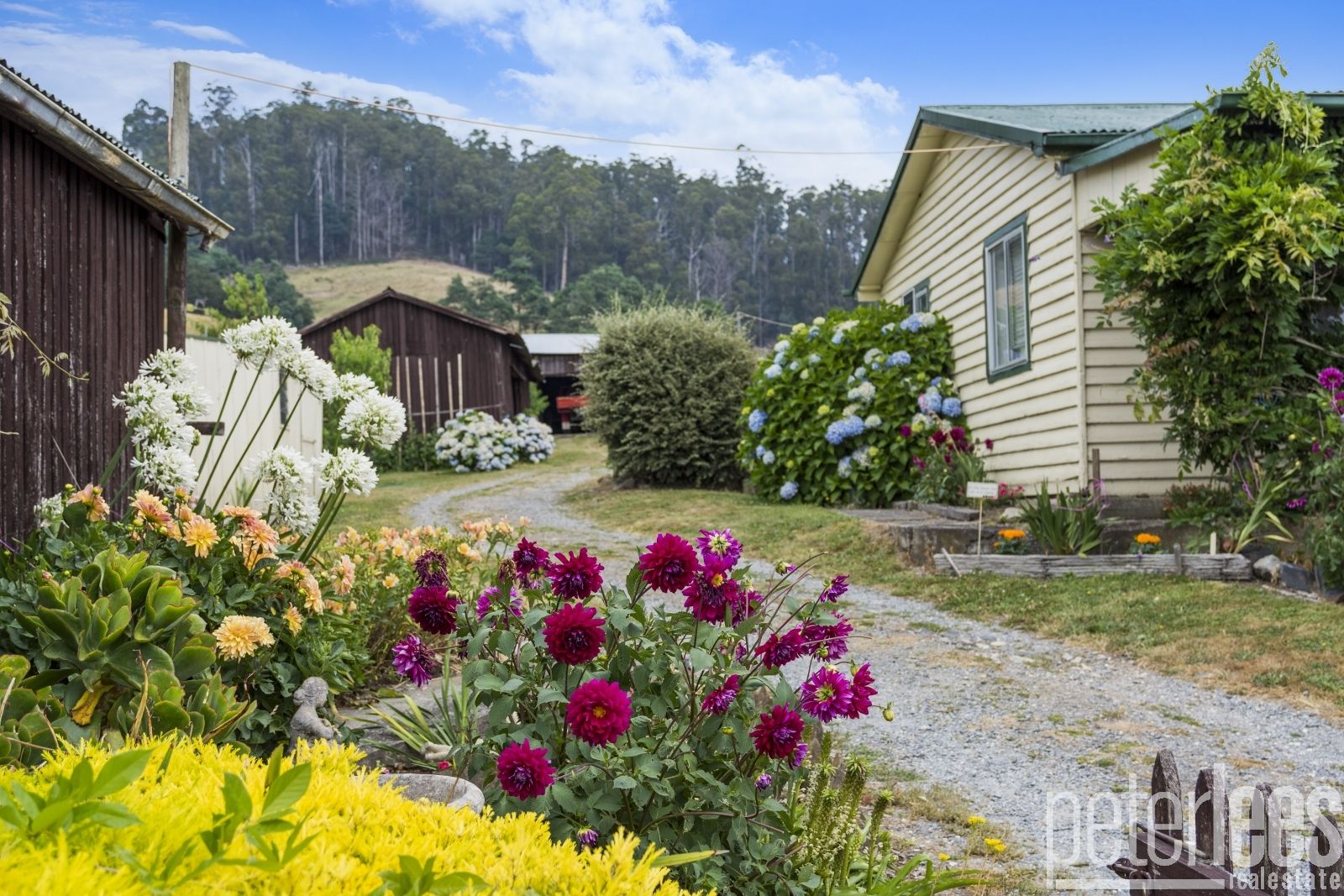 204 Doaks Road, Lilydale TAS 7268, Image 0