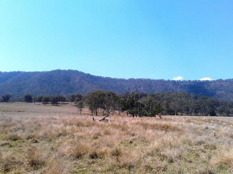 1439 Christmas Creek Road, Christmas Creek QLD 4285 Vacant Land for