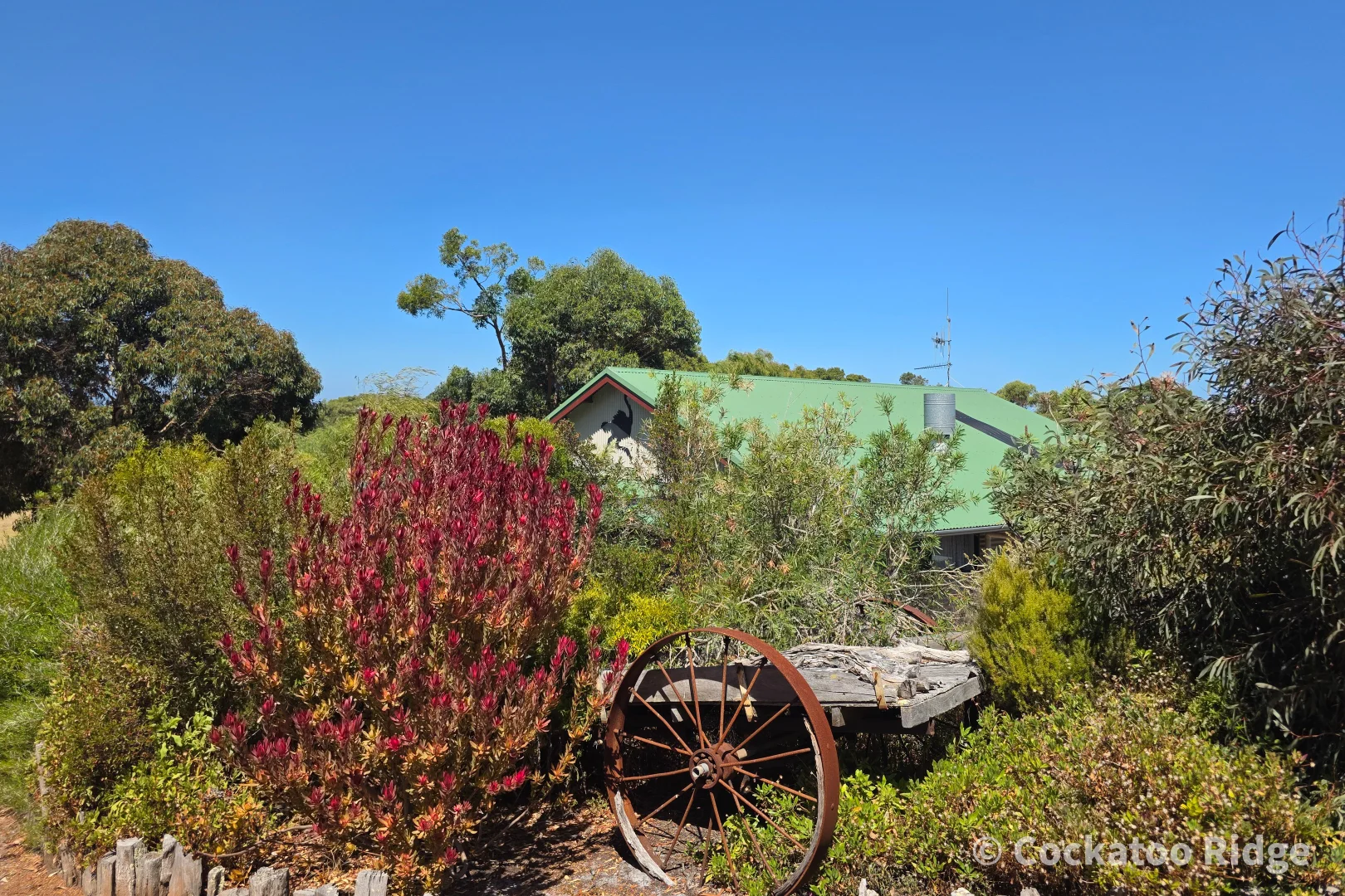 Additional image 37 of 96 Rudgyard Place, Hay WA 6333