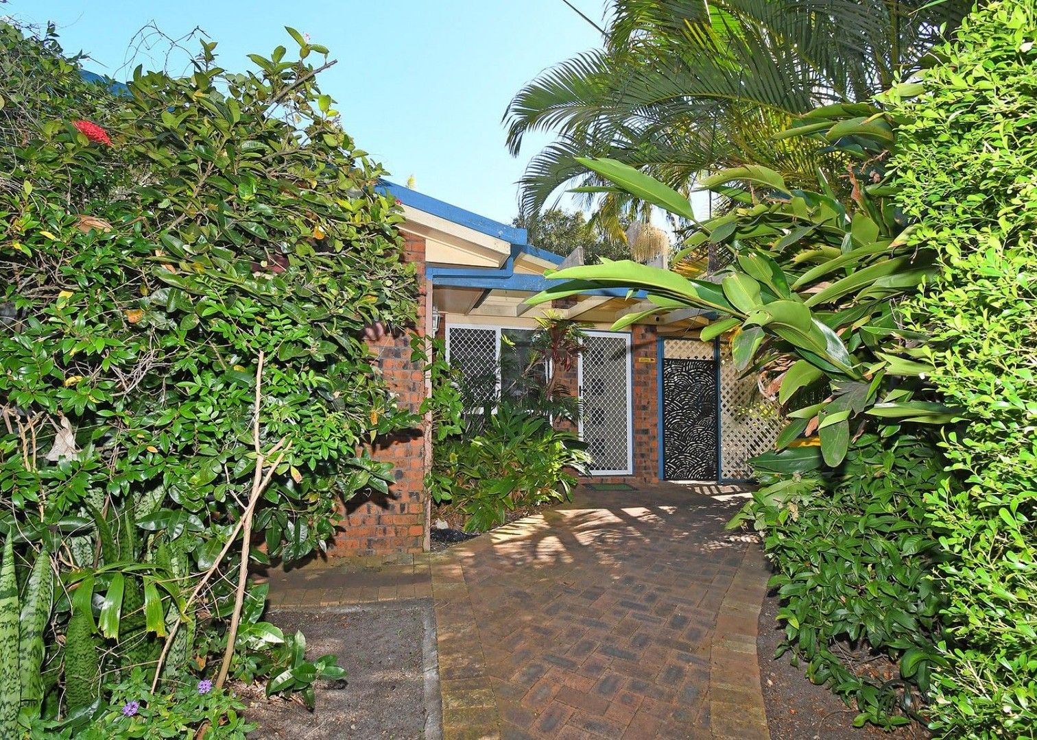 6 Wedge Street, Urraween QLD 4655, Image 1