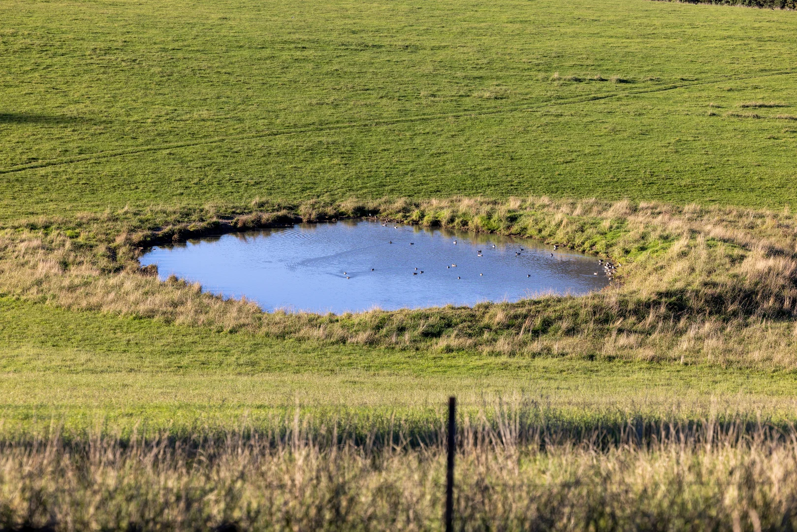 Image 31