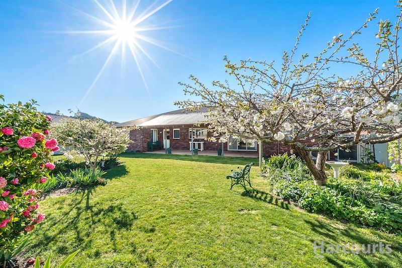 31 Cordell Place, Turners Beach TAS 7315, Image 1