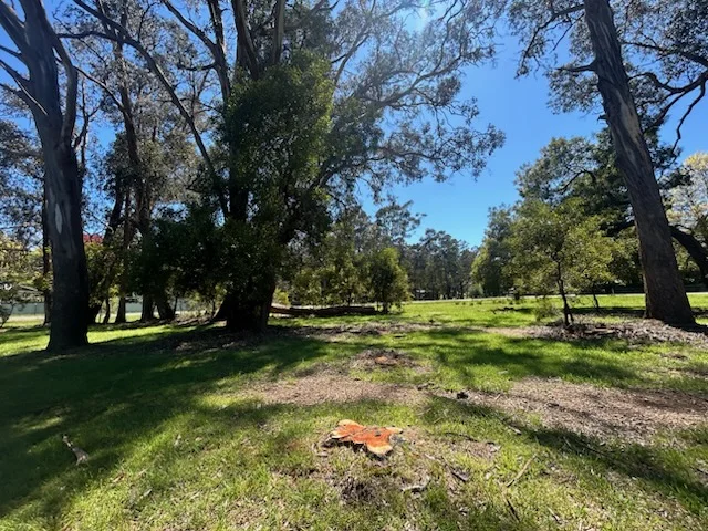 Image 10