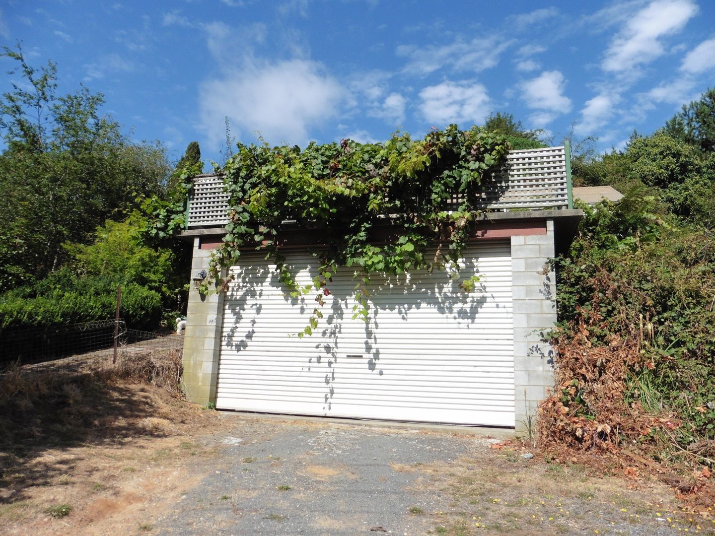 4 Main Street, Derby TAS 7264, Image 2