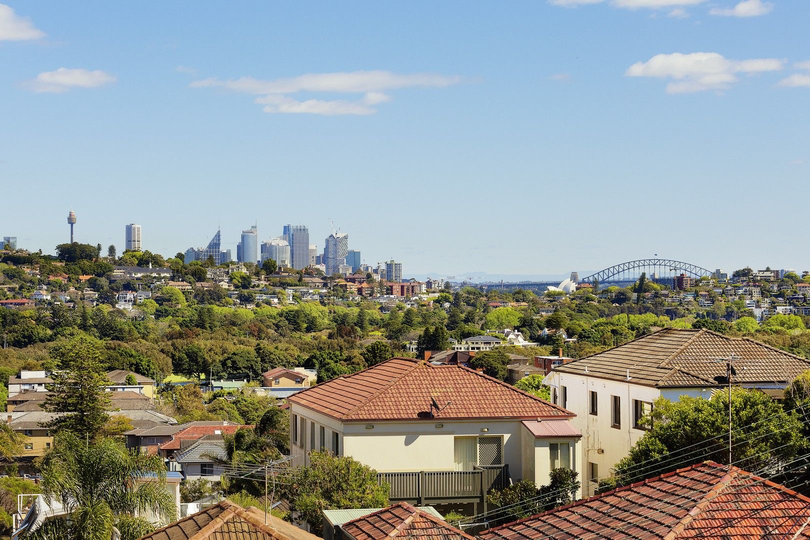 5 bedrooms House in 29 Hardy Street NORTH BONDI NSW, 2026